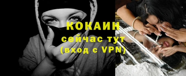 мяу мяу мука Няндома