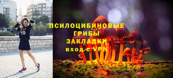 твердый Нязепетровск