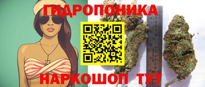 гашик Шелехов