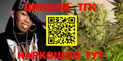 гашик Шелехов