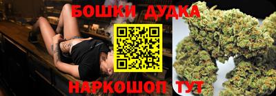 гашик Шелехов