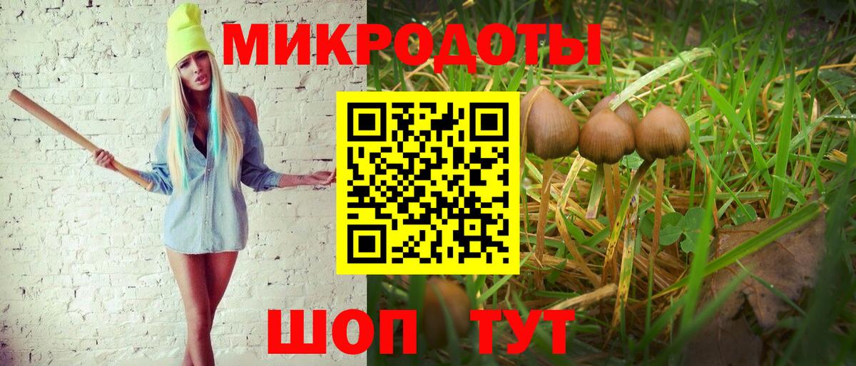 Псилоцибиновые грибы мухоморы Астрахань