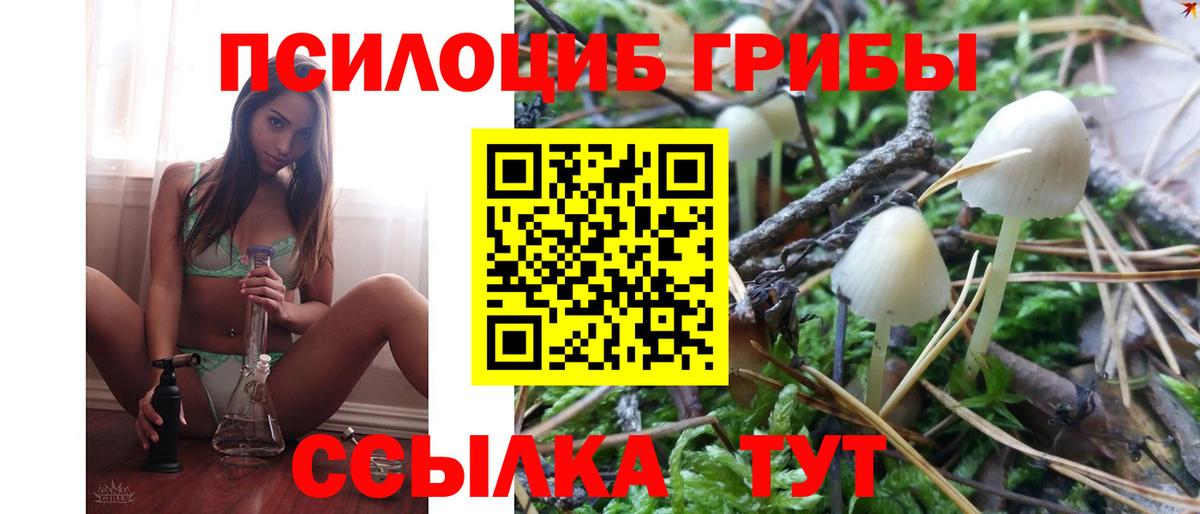 Псилоцибиновые грибы GOLDEN TEACHER  Вход с VPN  Астрахань 