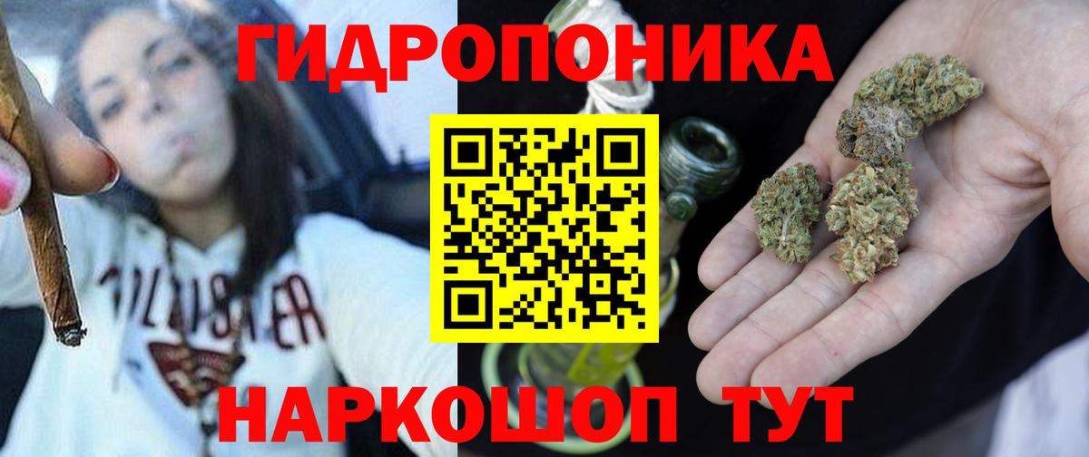Бошки Шишки Bruce Banner  Конопля план  Вход с VPN  Астрахань  Каннабис тримм  Марихуана план 